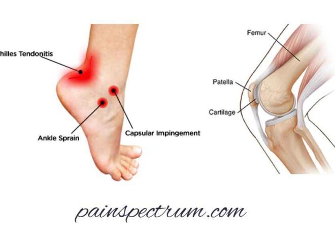 7 Causes of Knee and Ankle Pain: Connection and Relief